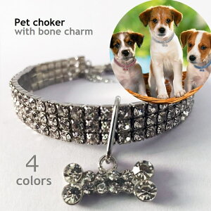  ybg`[J[ CXg[   L ^ lbNX  ANZT[ ^`[ Lk  ߂ zCg sN u[ ybgObY ybgpi