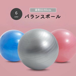  oX{[ GNTTCY{[ ֎q 55cm 65cm g[񃓃O _CGbg K seBX Xgb` tBbglX Ct