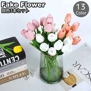   tFCNt[ F3{Zbg 3{Zbg 33cm 11  t[ `[bv ͂Ȃ lHϗtA   CeA rO    i` 