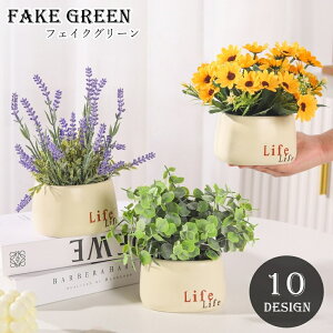  tFCNO[  CeAG CeA u   o q} }[Kbg x_[ [t t p[v IW sN ؂₩ 킢 