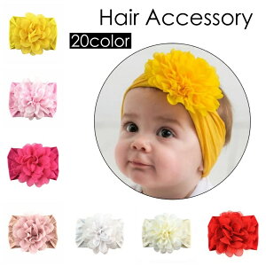  wAoh wbhoh wAANZT[ xr[ qp LbY Ԃ t[  JoLx LOBe  oYj V t@bV