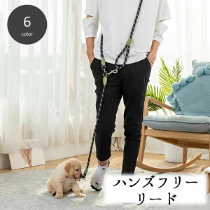  [h nYt[ | ΂ߊ| V_[ p Ck hbO ybgpi Ԃ 肪 U EH[LO WMO jO ֗