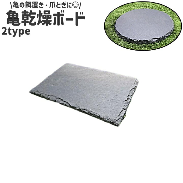 楽天市場】送料無料 亀乾燥ボード 底材 フードプレート 亀 カメ 