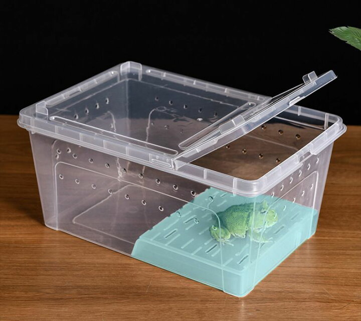 楽天市場】送料無料 飼育ケース プラスチックケース プラケース 両生類 