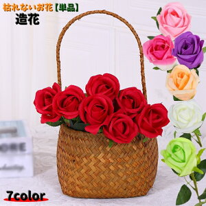   Pi  A[gt[ u[P AWg KN o ͂Ȃ C~e[Vt[ Mtg 蕨 CeA