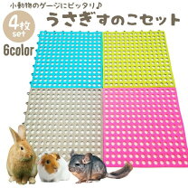 楽天市場】激安（種類（小動物）モルモット）（小動物用品｜ペット 