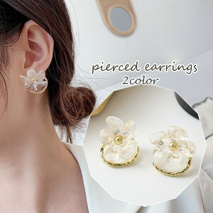  X^bhsAX fB[X t[  obNLb` S[hJ[ NA 킢  tF~j L[g  q v[g 蕨 Mtg AjC