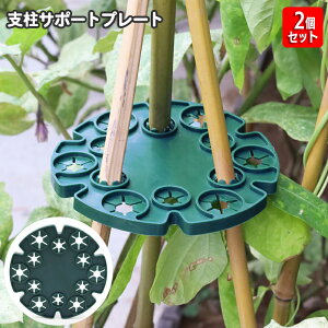  |pxT|[gv[g 2Zbg xz_[ 12 xpi Ap GhE XC[gs[ g}g LE xŒ ~` Eh^ ƒ؉ _ K[fjO