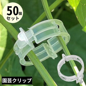  |Nbv UNbv 50 |p  oh x  s ږ ^b` ƒ؉ K[fjO AT|[g