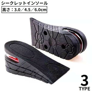  V[NbgC\[ Cq[  Ɨpn[t^ fB[X Y jp gAbv r Ռz NbV