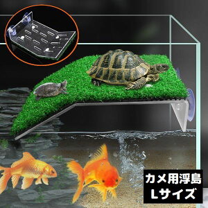  ঒ޗp ޗp  Ȃڂ eX LTCY z oXLO  xe  ANAE T J gJQ C