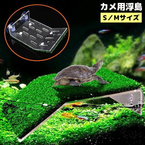 �������� ঒��ޗp �����ޗp ���� ���Ȃ��ڂ����� �e���X S�^M �z�� �o�X�L���O ������ �x�e ���� �A�N�A���E�� �T �J�� �g�J�Q �C����