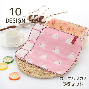  K[[nJ` 3Zbg xr[ Ԃ nJ` ^I 6w Aj} n[g  j̎q ̎q fUCLx 킢  悾  w z