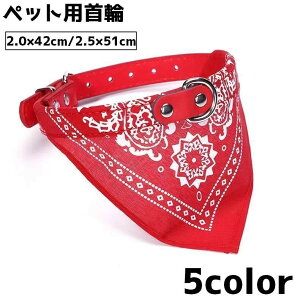  ybgp o_i OpXJ[t 42cm 51cm L lR  Ck X^C 悾ꂩ  yCY[ U ڈ  킢 o