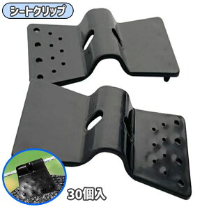  V[gNbv 30 TVF[h V[gz_[ lbg݂Nbv ŒNbv Ռlbg hlbg hlbg hlbg  ȒP ֗ O