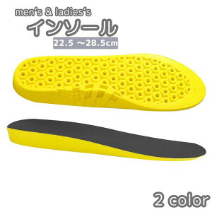  C\[ ~ Y fB[X j  jp Cpi X|[cC\[ Ռz NbV ^C Xj[J[ jO EH[LO d