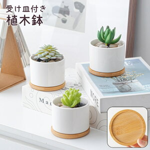  Aؔ 󂯎Mt Aؔ  t[|bg |bg Z~bN zCg T{e ϗtA A A ~j CeA K[fjO Vv 