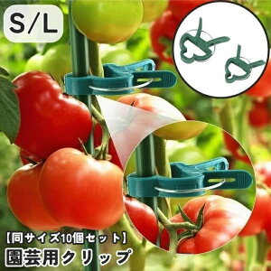 送料無料 園芸用クリップ 誘引クリップ 同サイズ10個セット 10個入り ピンチタイプ クリップ ガーデニング 農業 園芸用品 支柱用部品 支柱用アクセサリー 家庭菜園 野菜 つる 接ぎ木 便利