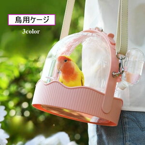  pP[W pL[ |[^uP[W pi U ړp Xgbvt t EH[^[{gt ʋC NA 