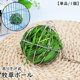送料無料 牧草ボール 牧草入れ エサ入れ 単品 1個 ボール型 吊り下げ式 小動物用食器 ペットグッズ ウサギ うさぎ モルモット 餌ボール 球体 フック付き チェーン ゲージ シルバーカラー シンプル お洒落 便利