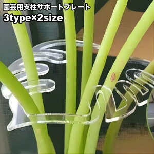  |pxT|[gv[g xz_[ xpi Ap xŒ tό^ [t^ ƒ؉ _ K[fjO   |pi