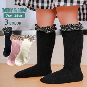  C nC\bNX xr[ LbY qp ̎q  ԕt u K[[    c Ԃ o| oYj Mtg v[g 蕨