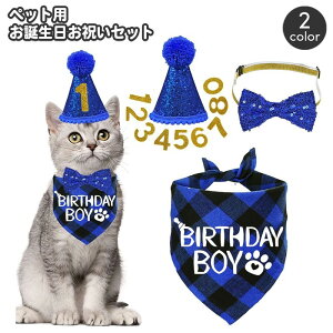 送料無料 誕生日お祝いセット ペット用 バースデー 犬用 猫用 3点セット とんがり帽子 蝶ネクタイ バンダナスタイ ぼうし スパンコール キラキラ おしゃれ かわいい パーティー 記念撮影 ペ