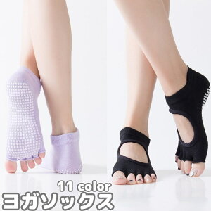  K\bNX I[vgD 5{w\bNX C V[g\bNX fB[X  ~ߕt  ܐȂ seBX W tBbglX tbgEGA n Vv J