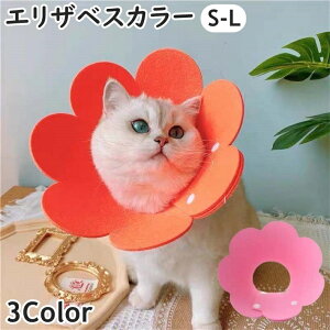  GUxXJ[ ybgp p Lp ^ \tg _炩 Xibv{^ p p rߖh~ 畆ی ȒP 킢 