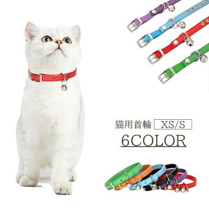  Lp `[J[ S ybgpi   tFCNU[ U[ Vv n  킢  lR J[ ANZT[  Lpi ybgObY ˂