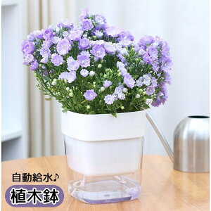 送料無料 植木鉢 自動給水 フラワーポット プランター 園芸 ガーデニング 観葉植物 多肉植物 植物 四角 スクエア シンプル