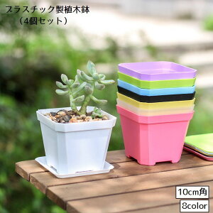  Aؔ t[|bg v 4Zbg 10cm p^ n r p A vX`bN y 킢 Vv  O ϗtA K[fjO |pi CeA