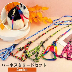 送料無料 ハーネス リード 2点セット 犬用 猫用 小型犬 ペット用品 胴輪 散歩紐 牽引紐 平紐 迷彩 カラフル お散歩 おでかけ おしゃれ