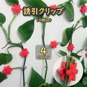  UNbv 10Zbg |Nbv ŒNbv Ǌ| ʃe[v  _ | K[fjO ږ  oh Œ   ֗   CeA ϗtA  