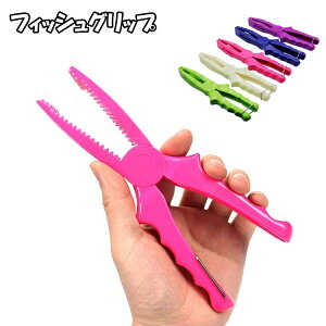  tBbVObv tBbVLb`[ ނ o[xL[ ͂  gO ނ tBbVO ނ ނpi