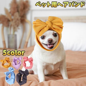  ybgpwAoh wbhoh  Ck ybgpi 傫 {  킢 Lk ߂ ܂ JoLx