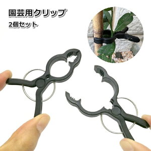  |pNbv 2Zbg UNbv ANbv |pi    _ Œ  ֗ K[fjO ƒ؉