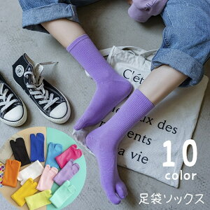  C  N[\bNX {w\bNX {wC ܃\bNX fB[X  t@bV N[ 킢  JWA Vv n PF   @