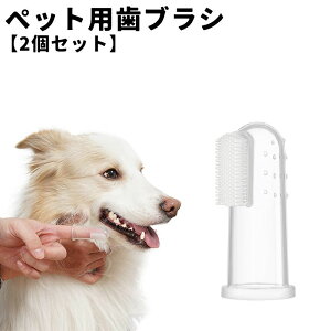  ybgpuV 2Zbg wTbN^Cv uV wuV oPA  L hbO Lbg ybgpi ybgObY \tg 炩 VR   NA 