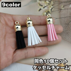  `[ ^bZ 10Zbg p[c ANZT[ nhCh  |pi Ntgpi  ؂₩  JoLx