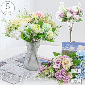   tFCNt[ A[eBtBVt[ ԑ lH C~e[V ͂Ȃ i` R CeA    i Y  Q