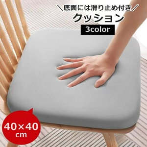  NbV zc 40cm `FApbh CeAG  XNGA p^ n PF Vv rO _CjO ֎q