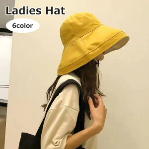  DX nbg fB[X  Xq ΍L Rt 傫 Vv n PF 悯 Ăh~ O΍