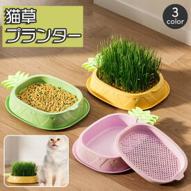 送料無料 猫草プランター パイナップル 猫草ポット 猫草ボックス 容器 水耕栽培 おしゃれ かわいい ネコ ねこ キャット くさ 育てる トレイ 簡単 便利 ペット用品