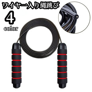  ꒵ lp 290cm ȂƂ C[ g[jO ^ X|[c tBbglX g  Wv[v ؃g   Y fB[X j  jp