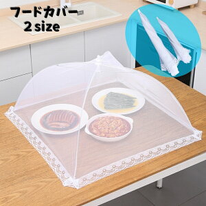  t[hJo[ HJo[  ܂肽ݎ zVpi 悯 h   ʕ 􂦂 ȃXy[X RpNg [ t