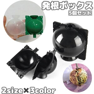  {bNX 5Zbg ؃{[ A ɐB  u ȒPt K[fjO |pi  } ubN NA