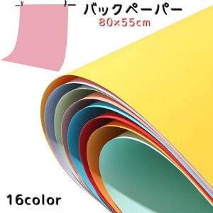 送料無料 撮影用バックペーパー 背景シート 厚手 写真撮影用 商品撮影 カメラアクセサリー 小物 敷物 単色 シンプル ブログ用 生誕記念撮影 カラバリ豊富