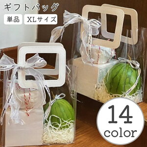 送料無料 ギフトバッグ ラッピングバッグ 単品 ラッピング用品 ラッピング袋 小袋 手土産袋 プレゼント 贈り物 持ち手 クリア おしゃれ