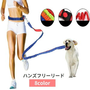  [h Lk nYt[ p ybgpi [V EGXgxgt xg ^b`obN Ԃ U EH[LO WMO jO Ckp